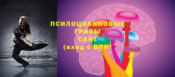 ALPHA-PVP Гусь-Хрустальный