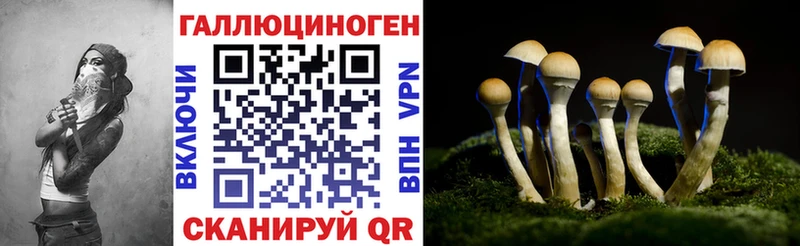 дарнет шоп Володарск Псилоцибиновые грибы мухоморы