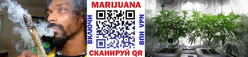 Марихуана MAZAR  где найти   Володарск 